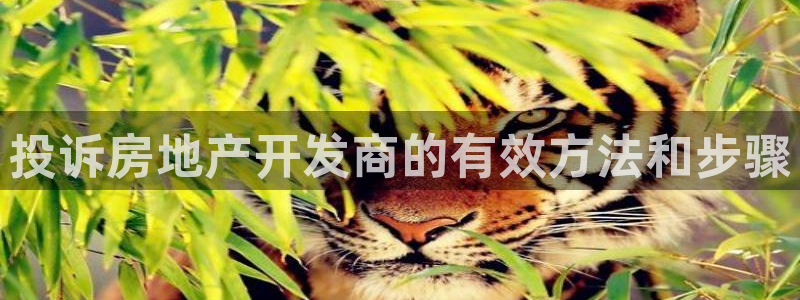 永利集团简介及地址
