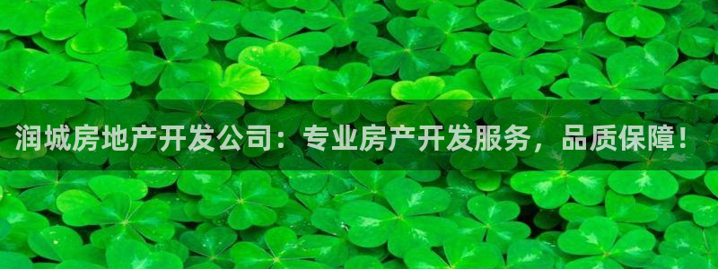 永利背一分