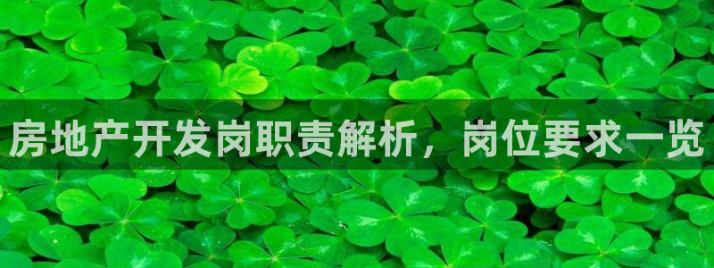 永利公司是干嘛的