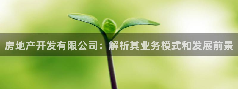 浙江永利集团