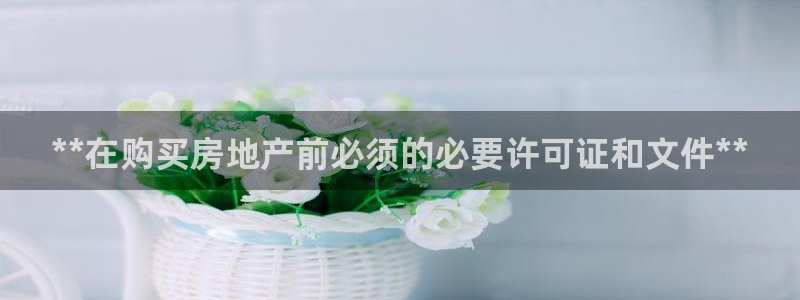 永利正版
