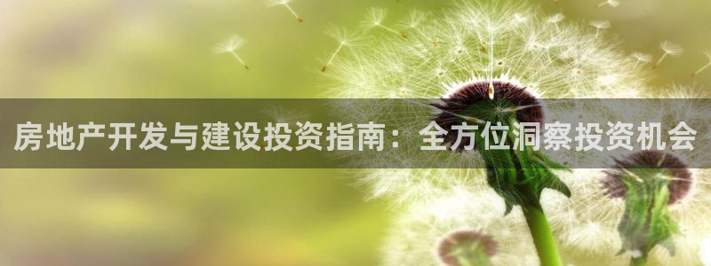 永利提不了款怎么办